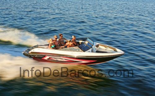 Larson LSR 2100 ficha técnica y opiniones